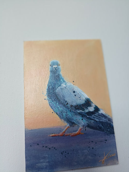 Petit tableau de pigeon sur fond orange 10×15 cm