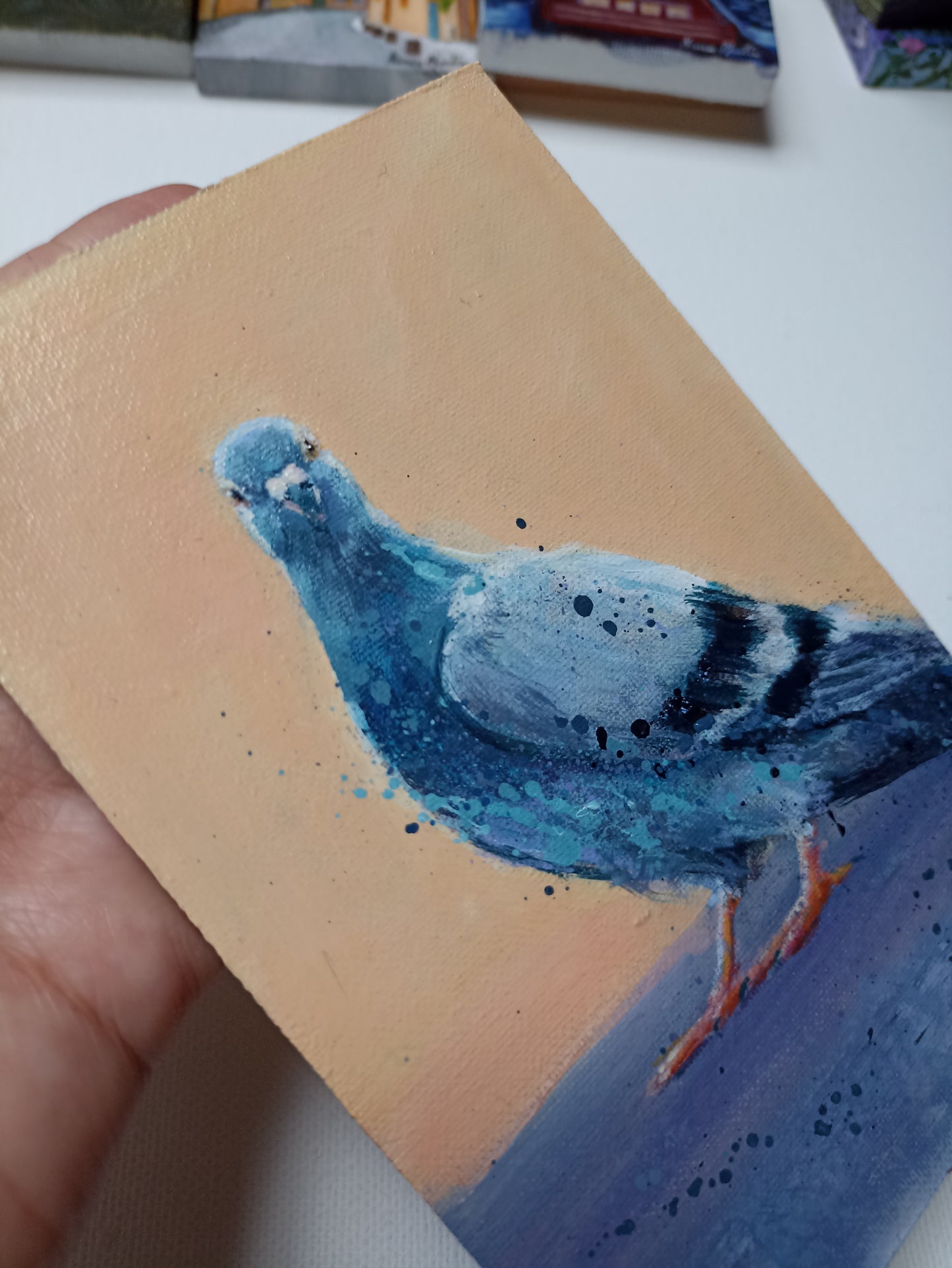 Petit tableau de pigeon sur fond orange 10×15 cm