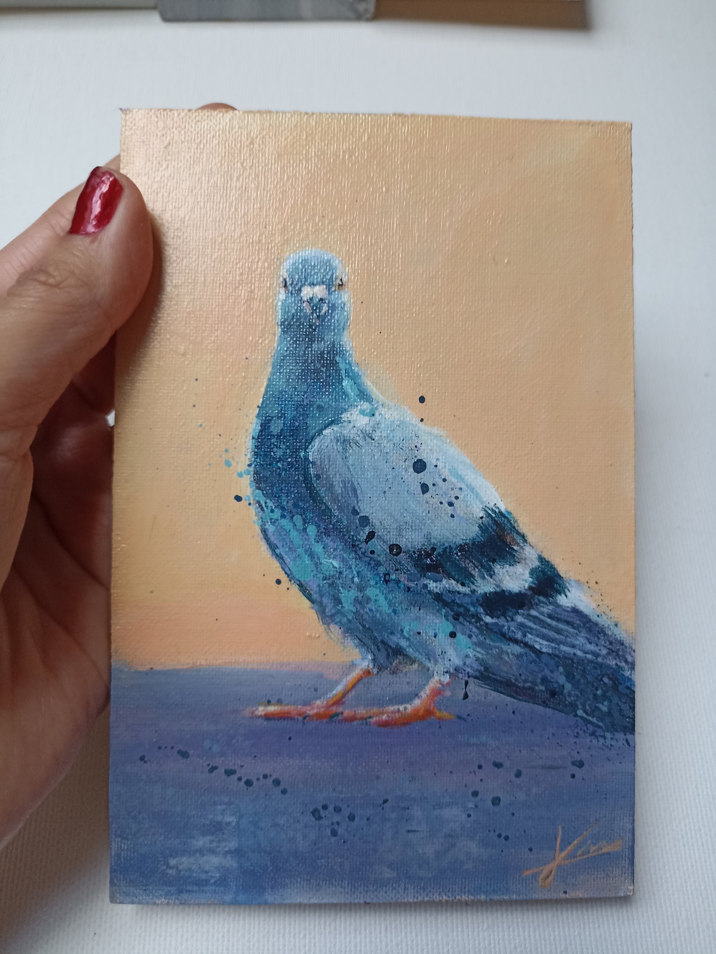 Petit tableau de pigeon sur fond orange 10×15 cm