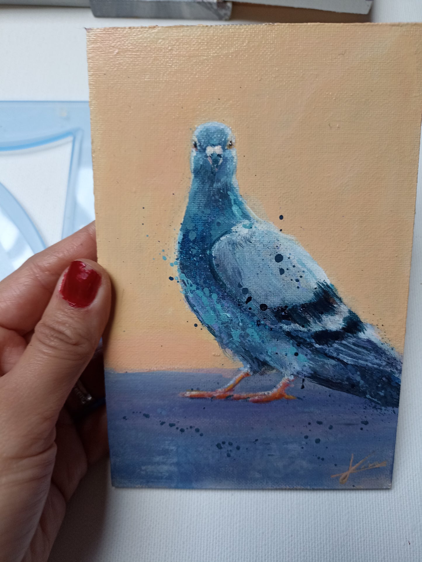 Petit tableau de pigeon sur fond orange 10×15 cm