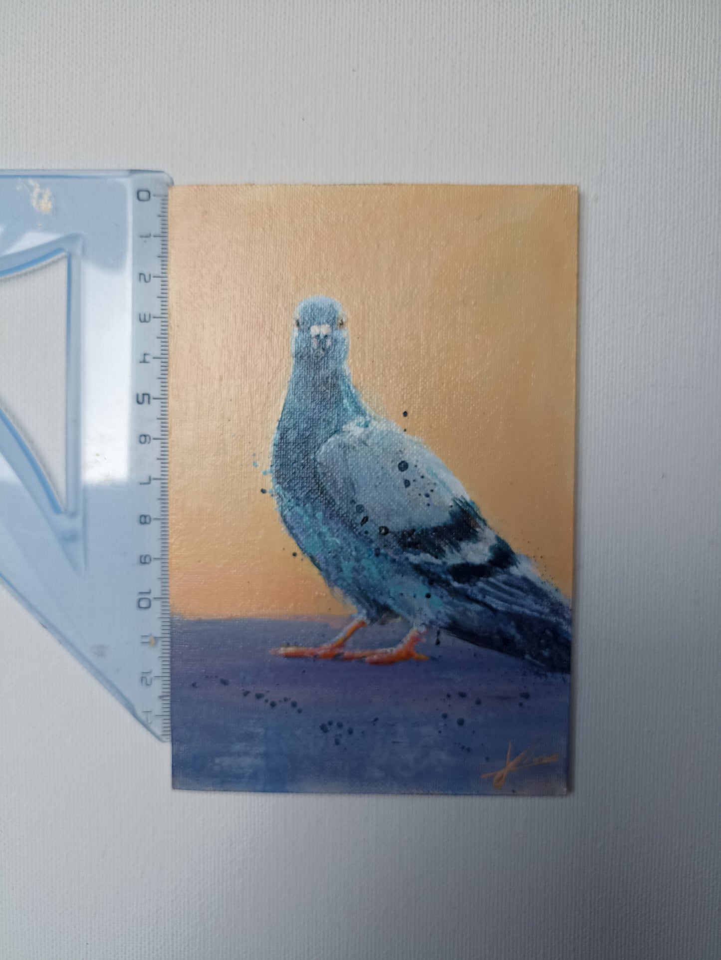 Petit tableau de pigeon sur fond orange 10×15 cm